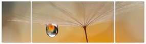 Obraz - Makro kwiat (170x50 cm)