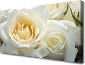 Obraz na płótnie Elegancja Czerwonych Róż