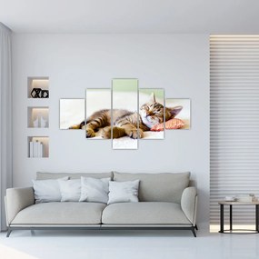 Obraz - Śpiący kotek (125x70 cm)