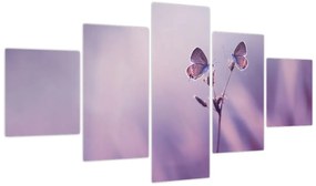 Obraz - Fioletowe motyle (125x70 cm)