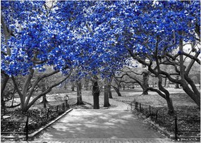 Obraz na szkle - Niebieskie drzewa, Central Park, New York (70x50 cm)