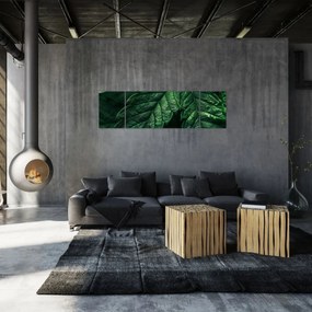 Obraz - Szczegół arkusza (170x50 cm)