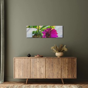 Obraz ciętego kwiatu (z zegarem) (90x30 cm)