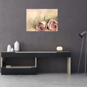 Obraz - Delikatne róże (70x50 cm)