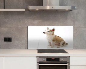 Panel szklany do Kuchni Mały Szczeniak w Pozycji Siedzącej