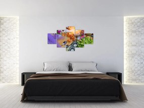 Obraz - letni piknik (125x70 cm)