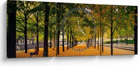 Obraz alei jesiennych drzew (z zegarem) (90x30 cm)