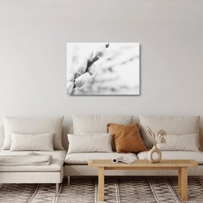 Obraz na szkle - Początek wiosny (70x50 cm)
