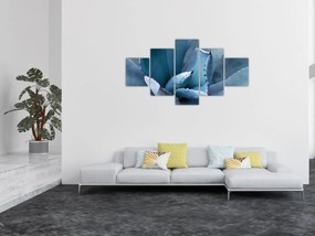 Obraz - Agawa (125x70 cm)