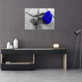 Obraz - Niebieska róża (70x50 cm)