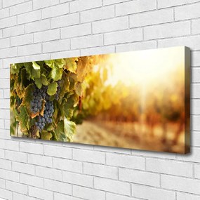 Obraz Canvas Winogrona Liście Kuchnia