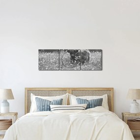 Obraz - Szkocka krowa 5, czarno - biały (z zegarem) (90x30 cm)