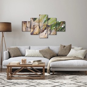 Obraz wiewiórki na drzewie (125x70 cm)