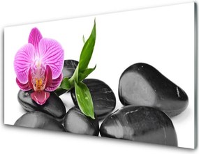 Szkło do Kuchni na Ścianę Wyciszenie Zen: Kwiat i Kamień