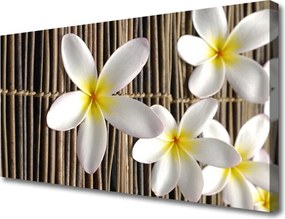 Obraz na płótnie Barwny Ogród na Płótnie