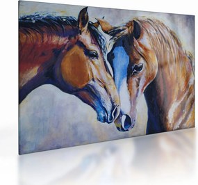 Obraz na szkle - Zakochane konie (70x50 cm)