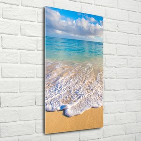 Foto obraz szklany pionowy Tropikalna plaża