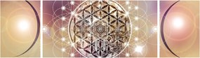 Obraz - Mandala z elementami (170x50 cm)