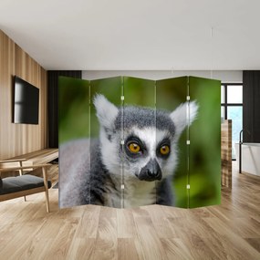 Parawan - Lemur (210x170 cm)