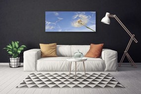 Obraz na płótnie Puszysty Dmuchawiec