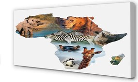 Duży obraz na płótnie Zebra, Żyrafa i Tygrys