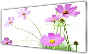 Panel Kuchenny Delikatność Polnych Roślin