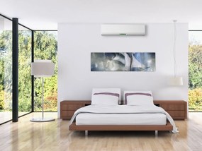 Obraz - Statek widmo (170x50 cm)