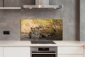 Panel szklany do Kuchni Królewska Para Tygrysów