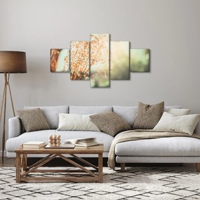 Obraz - Rośliny po deszczu (125x70 cm)