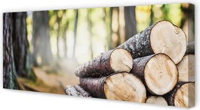 Obraz drukowany na płótnie Esencja Drewna Z Lasu