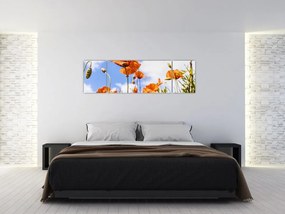 Obraz maków (170x50 cm)