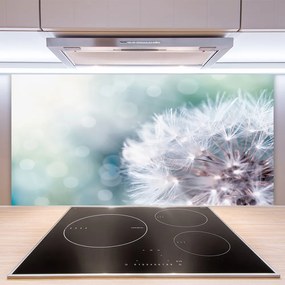 Szkło do Kuchni na Ścianę Puszysty Mniszek Lekarski