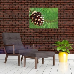 Obraz na szkle - szyszki (70x50 cm)