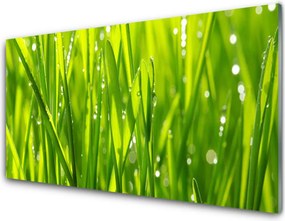 Panel Szklany do Kuchni Naturalny Urok Trawy