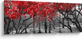 Obraz - Czerwone drzewa, Central Park, New York (z zegarem) (90x30 cm)