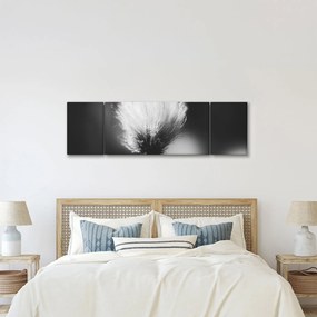Obraz - Czarno-biała trawa bawełniana (170x50 cm)