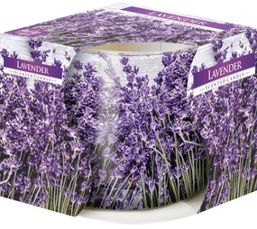 Świeczka zapachowa w szkle Lavender 100 g, 7,2 cm