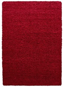 Czerwony dywan 60x110 cm Life – Ayyildiz Carpets