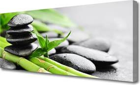 Obraz canvas na ścianę Świeżość Bambusa i Kamieni