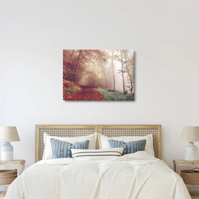 Obraz - Jesienny spacer po lesie (70x50 cm)