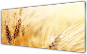 Panel Szklany Złociste Łany Pszenicy