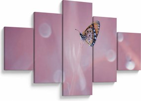 Obraz - Motyl (125x70 cm)
