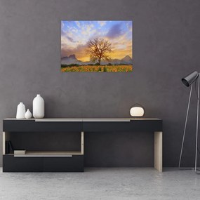 Obraz na szkle - Pejzaż ze słonecznikami (70x50 cm)