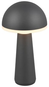 Lampa zewnętrzna ze ściemniaczem ø 16 cm Fungo – Trio