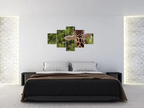 Obraz żyrafy od tyłu (125x70 cm)