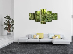 Obraz tropikalnego lasu deszczowego (125x70 cm)