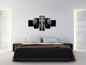 Obraz - Słoń na czarnym tle (125x70 cm)