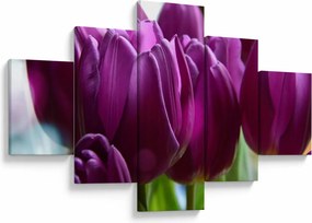 Obraz tulipanów (125x70 cm)