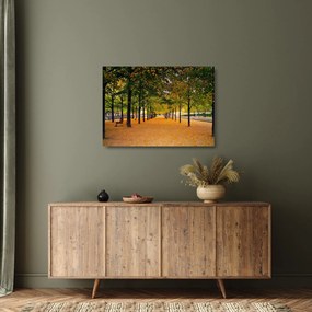 Obraz na szkle - aleja jesiennych drzew (70x50 cm)