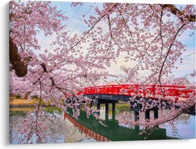 Obraz - Hirosaki, Japonia (70x50 cm)